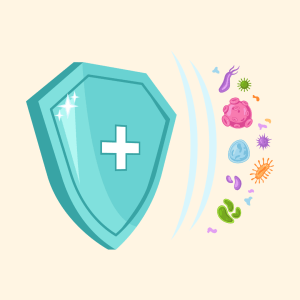 immunoglobuliny - funkcje i właściwości, nadmiar i niedobór