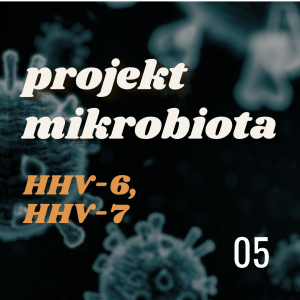 Projekt MIKROBIOTA: HHV-6, HHV-7