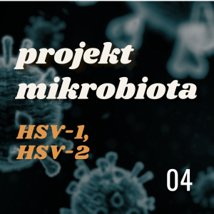 Projekt MIKROBIOTA: HSV-1, HSV-2