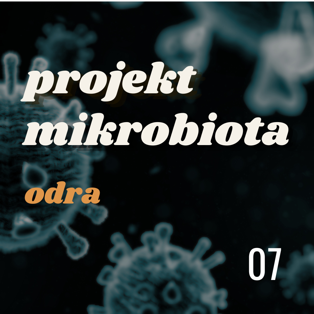 Projekt MIKROBIOTA: odra (25.04.2025)