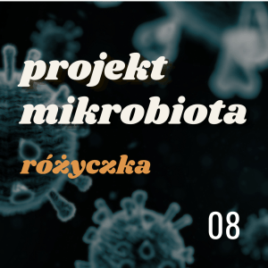 Projekt MIKROBIOTA: różyczka (15.06.2025)