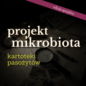 Enterobius vermicularis (owsik ludzki) – kartoteki pasożytów