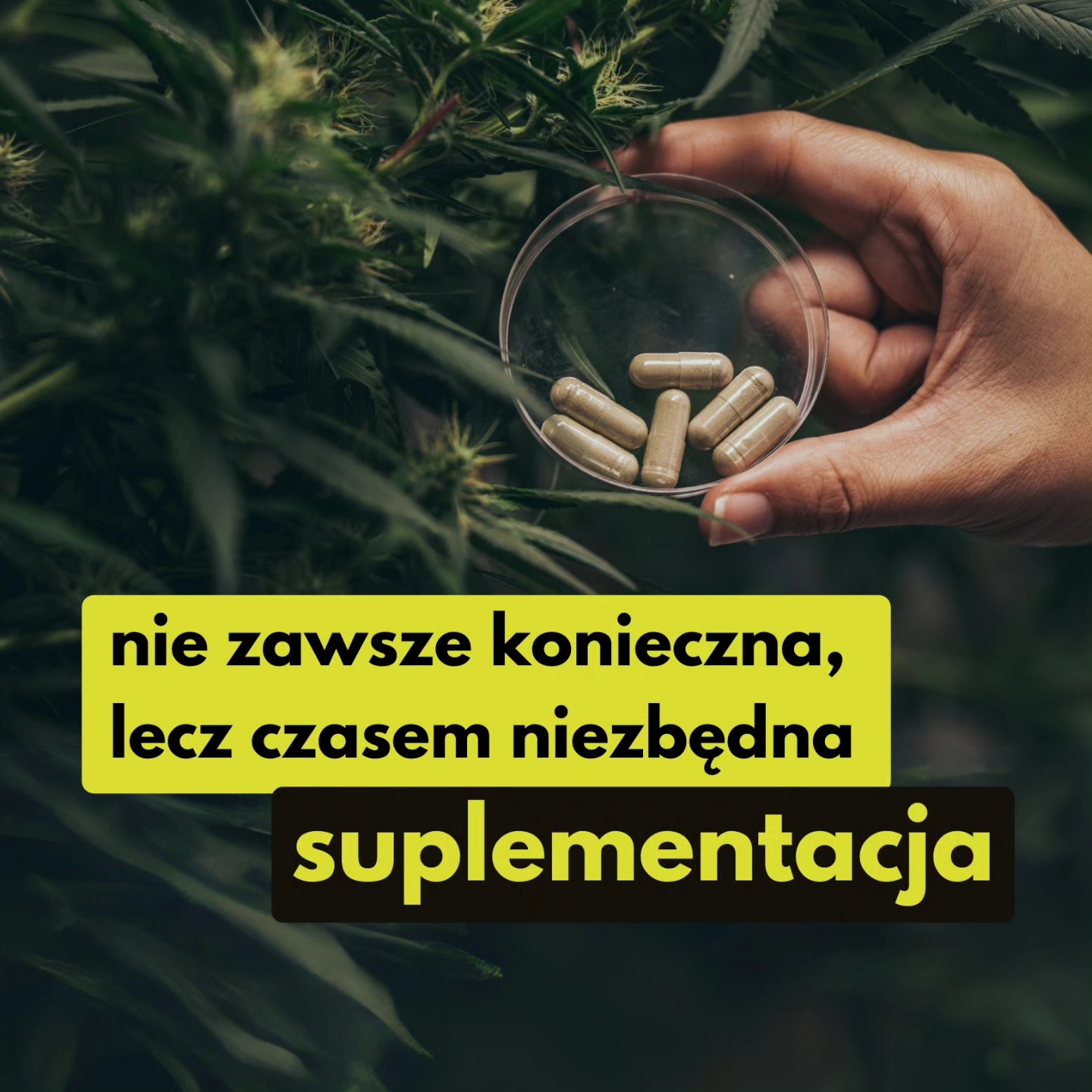 Post z 26.04.2024