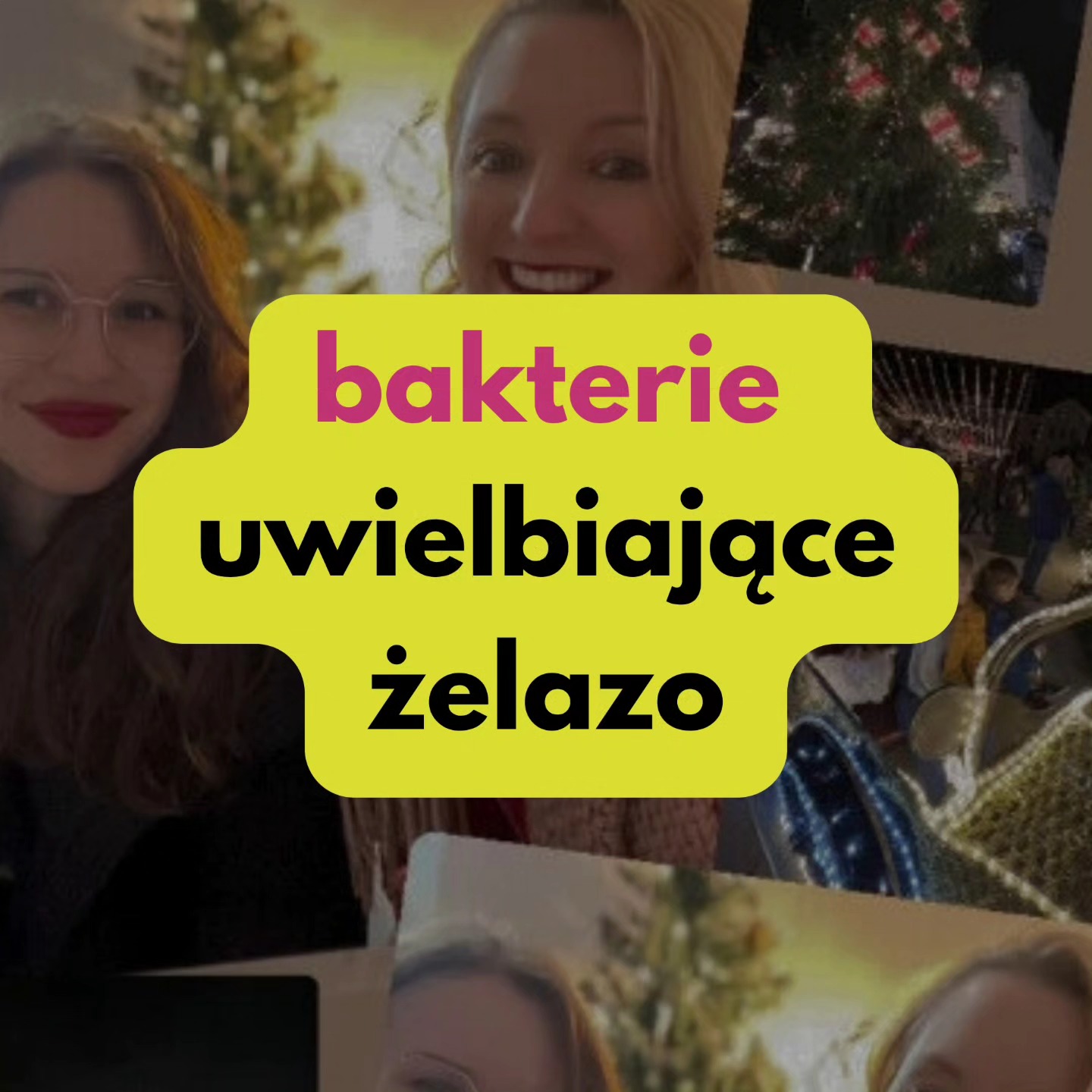 Post z 20.12.2023