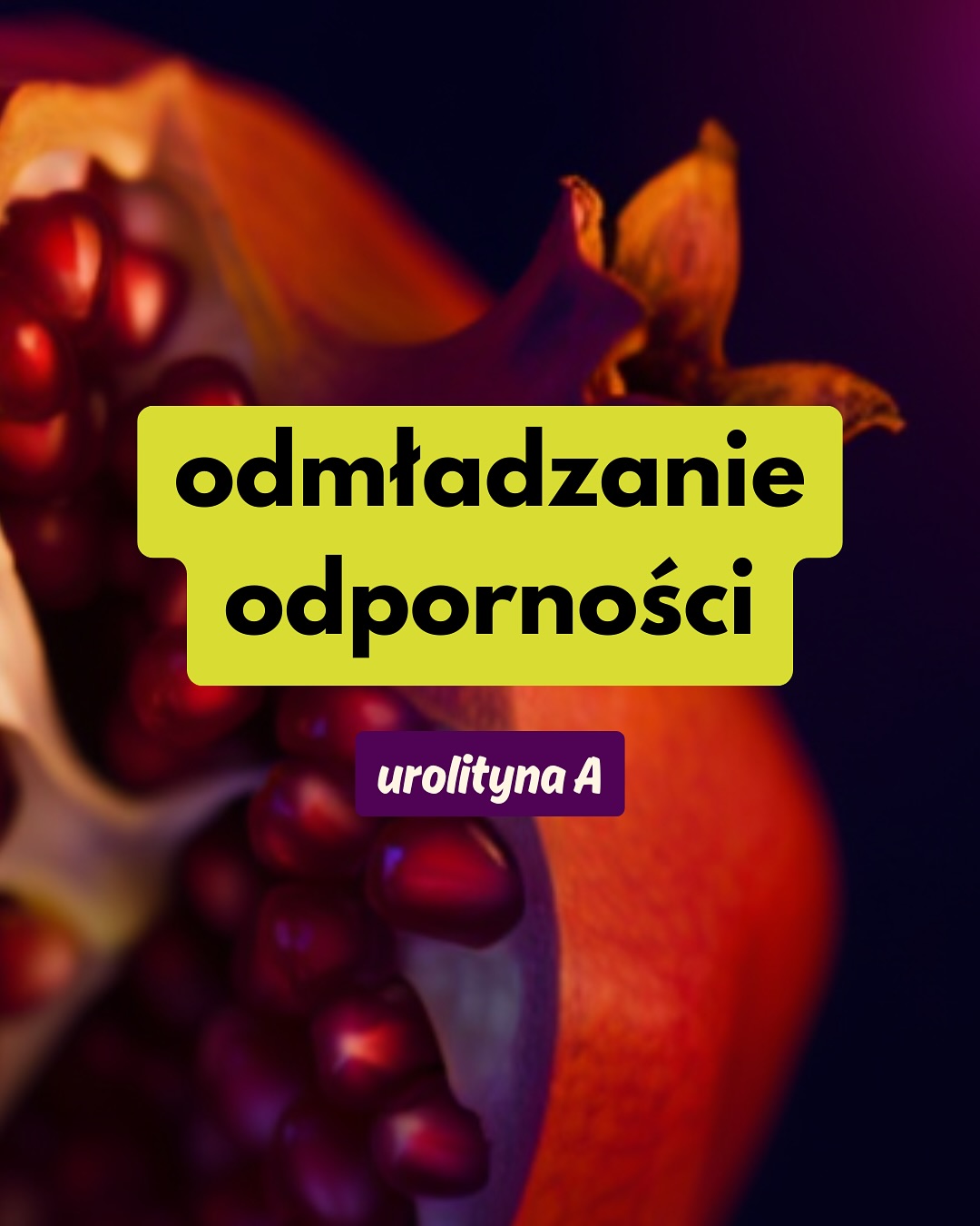 Post z 18.11.2025