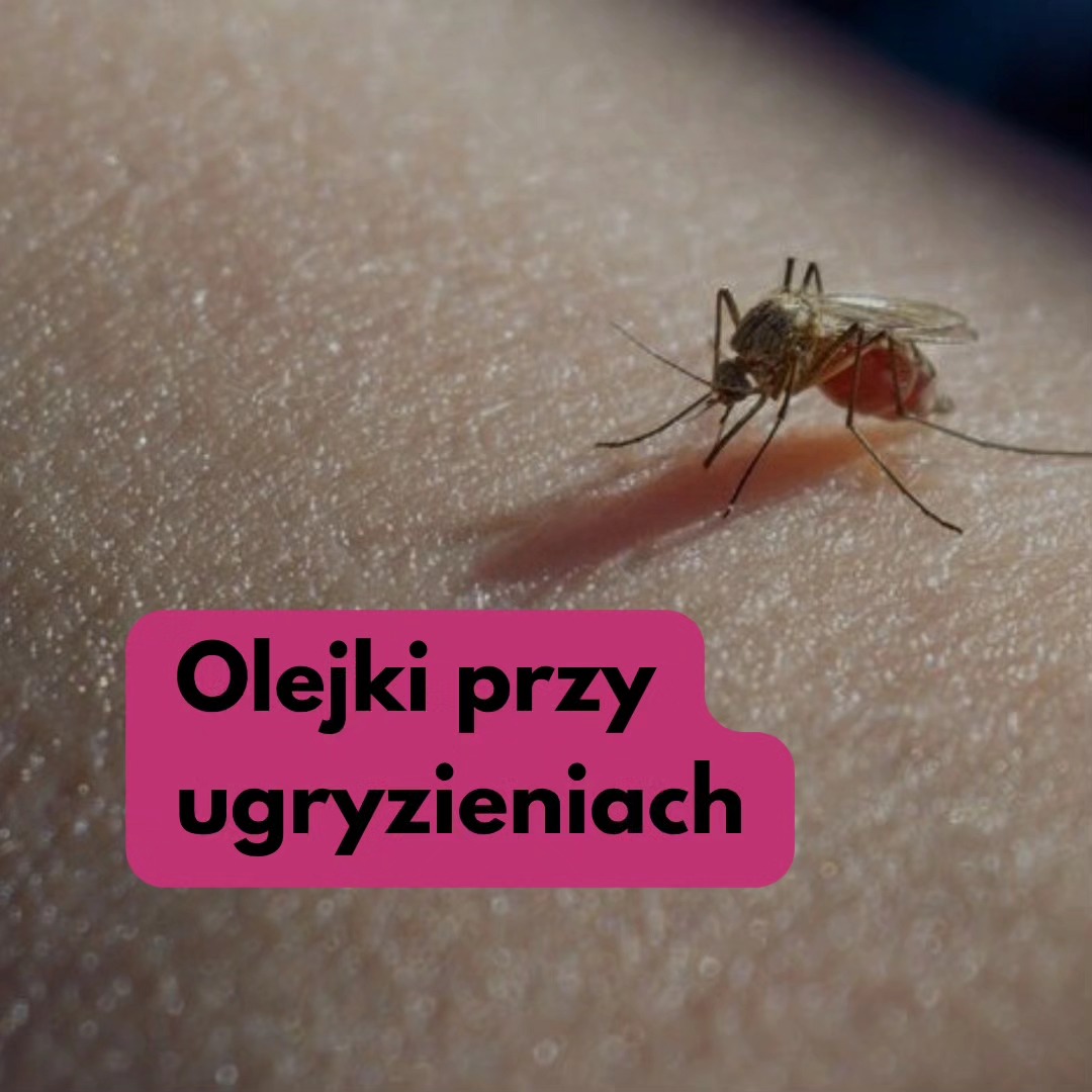 Post z 29.05.2024