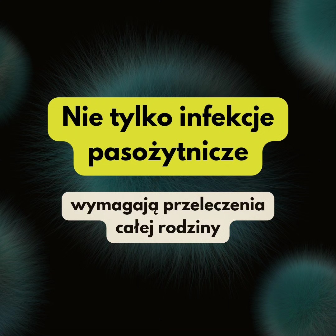 Post z 04.06.2024