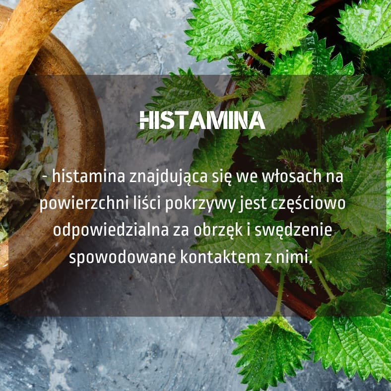 Post z 07.02.2021